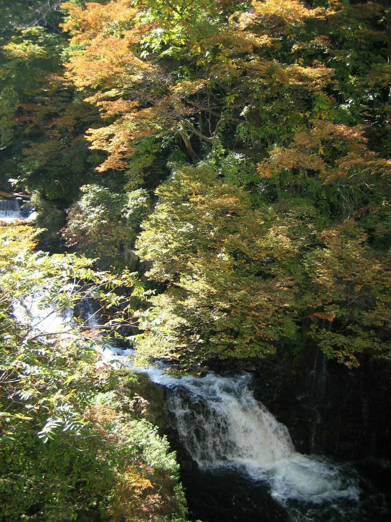 Ryokan Harataki Aizuwakamatsu